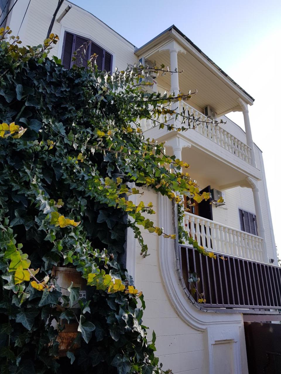 Vedzisi Garden Hotel 第比利斯 外观 照片