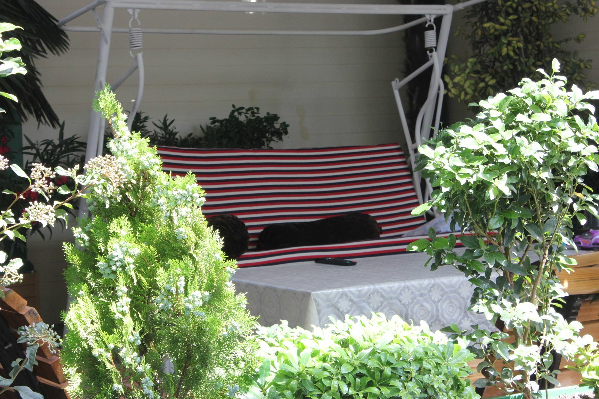 Vedzisi Garden Hotel 第比利斯 外观 照片